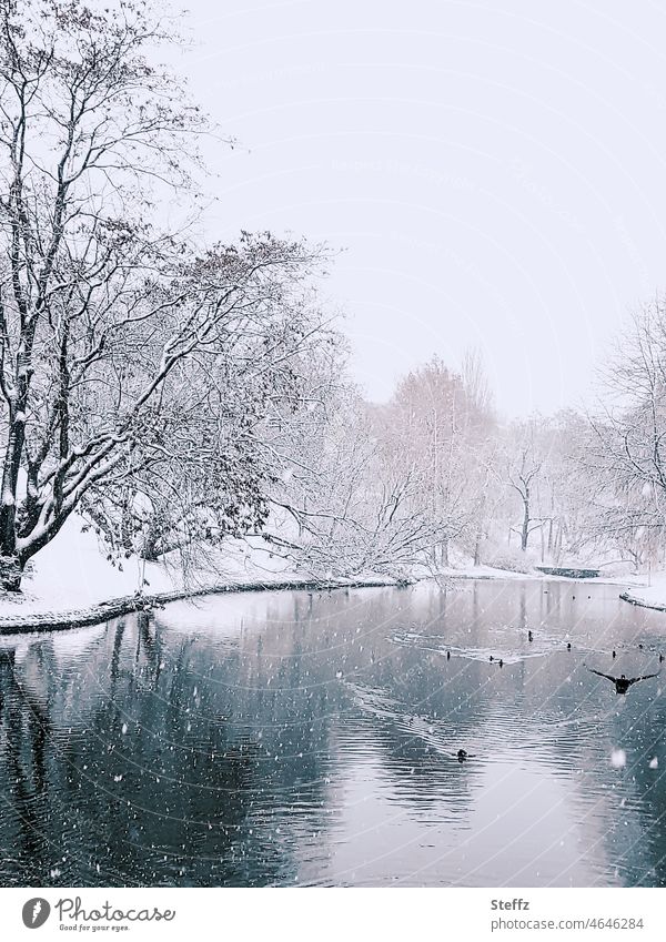 Winter am Teich Teichufer Ententeich Park Schneefall Wasservögel Kälte Winterspaziergang schneebedeckt Dezember Schneedecke winterlich Winterkälte Winterlicht