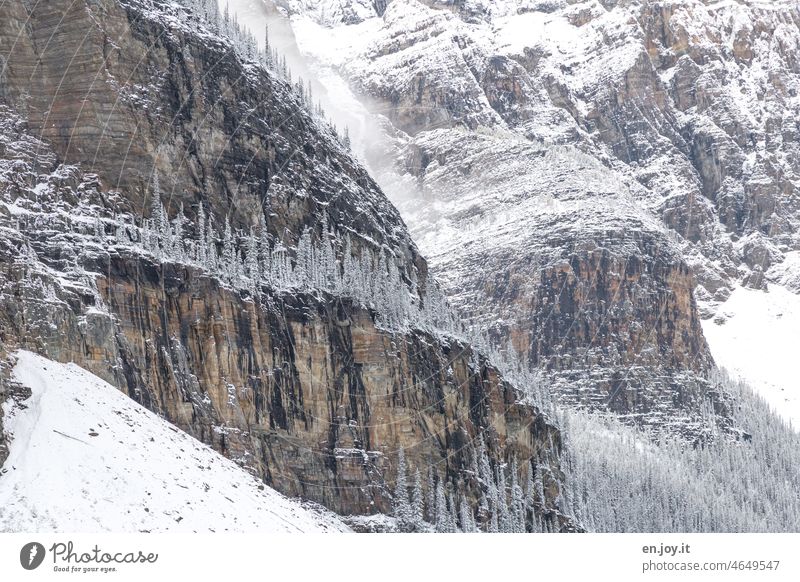 Winterlandschaft in den Rockies Rocky Mountains Kanada Berge u. Gebirge Schnee kalt Kälte Alberta Ferien & Urlaub & Reisen Nordamerika Menschenleer Landschaft