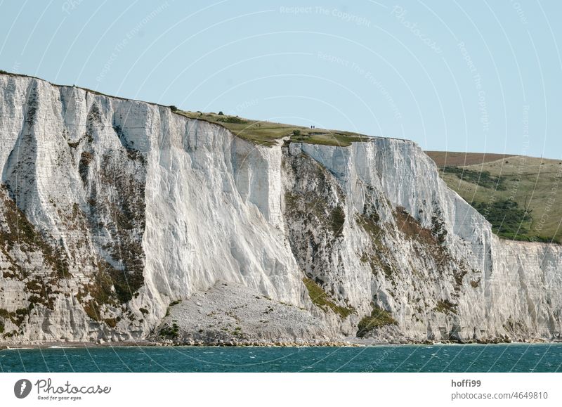 Steilküste im Süden Englands Felsen Kreidefelsen Klippe Kent Dover kreideklippen weiße Klippen Insel kreideküste Kanal Ärmelkanal Sommer Stein Küste ankommen