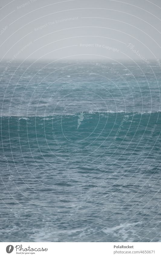 #A0# WellenBlau Kanarische Insel Kanarische Inseln Kanaren Küste Fuerteventura Wellenkamm Wellenbrecher Wellenbruch Wellenschlag Wellenlinie Wellenform