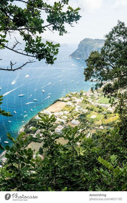 Blick aufs Meer, Capri, Italien Aussicht Wasser Küste Ufer Insel Strand Sommer Himmel Horizont grün blau bunt Laub Blätter Natur Landschaft Panorama (Aussicht)