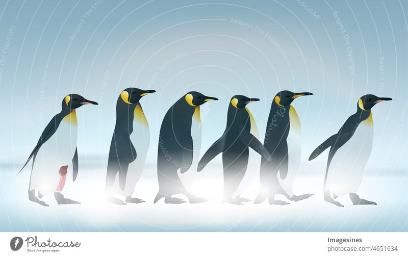 Kaiserpinguine im Schneesturm. Pinguine auf schneebedecktem Land. ein verletzter Pinguin. Illustration Familie Design Vektor Tiere Tierwelt antarktis