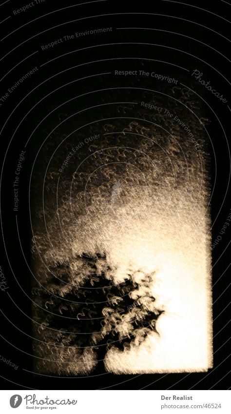 Gegenlicht 1 Baum Laterne Langzeitbelichtung dunkel Nacht Sturm suspekt Regen hell