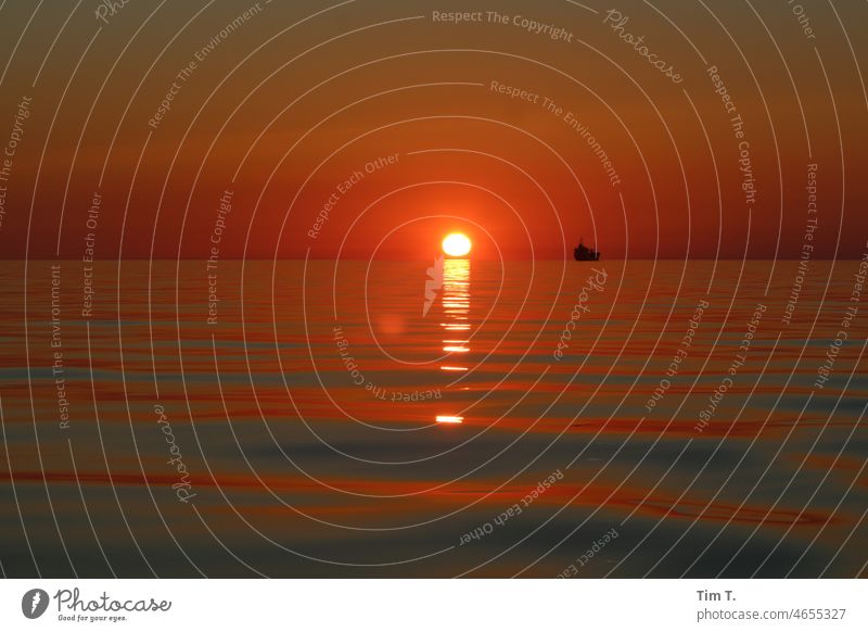 Sonnenuntergang auf der Ostsee mit Schiff Farbe Meer Wasser Wellen See Reflexion & Spiegelung Außenaufnahme Menschenleer Schifffahrt Baltic Sea sea waves water