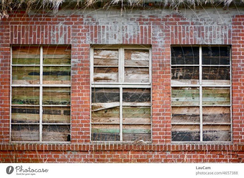 Für immer geschlossen Fenster Bretter Klinker Klinkerfassade Klinkermauer verfallen vergänglich Vergänglichkeit Ruine zu Verfall Wandel & Veränderung verlassen
