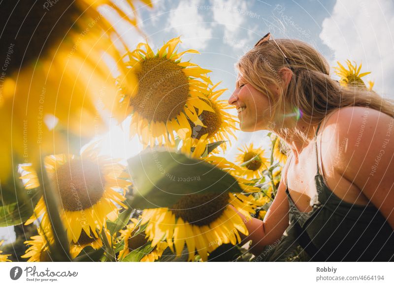 junge Frau in einem Sonnenblumenfeld bei Sonnenschein blond Gegenlicht Flare riechen flora duften gelb grün lächeln Natur Landwirtschaft fröhlich froh schön