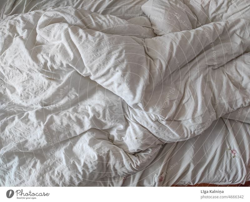 Vollständiger Rahmen der Bettwäsche Bettdecke Schlafzimmer Morgen gemütlich Schot Decke schlafen Erholung Farbfoto Innenaufnahme eintreten Kissen Windstille