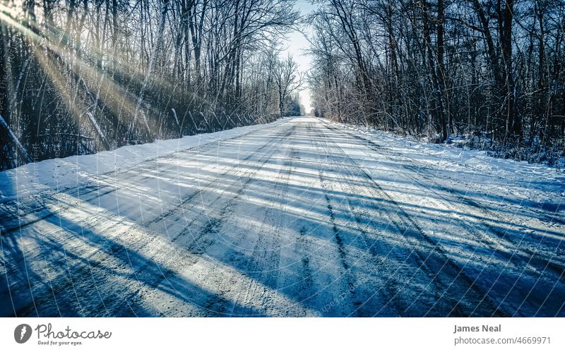 Schneebedeckte Straße mit Sonne, die durch die Bäume scheint Sonnenschein Regie Verminderte Perspektive natürlich polar Frost Tag Hintergrund Waldgebiet