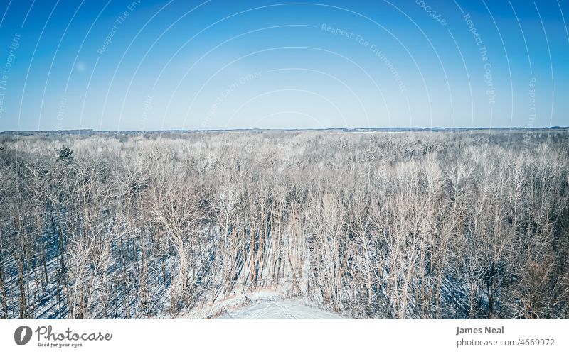 Gefrorene Baumkronen unter blauem Himmel Horizont natürlich pulsierend Frost Land Klarer Himmel Hintergrund Schnee Waldgebiet oben malerisch Umwelt horizontal