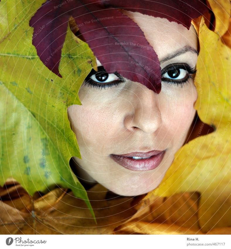 HerbstPortrait schön feminin Junge Frau Jugendliche 1 Mensch 30-45 Jahre Erwachsene Blatt ästhetisch mehrfarbig gelb Auge Blick Mund Lippen Herbstlaub exotisch