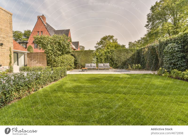 Couch im Hinterhof mit Bäumen Terrasse Stil Liege Rasen Baum Pflanze Design Hof wohnbedingt räkeln Licht Sommer Sofa kreativ Veranda Gegend Sitz vegetieren