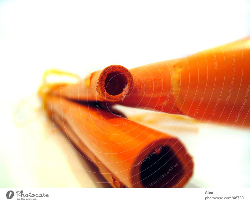 Bambusrohre Stock orange Röhren