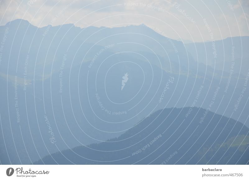 Blaue Berge (BB) Landschaft Urelemente Himmel Sommer Alpen Berge u. Gebirge Nebelhorn (Berg) groß hell blau Stimmung Freiheit Natur Sinnesorgane Umwelt Ferne