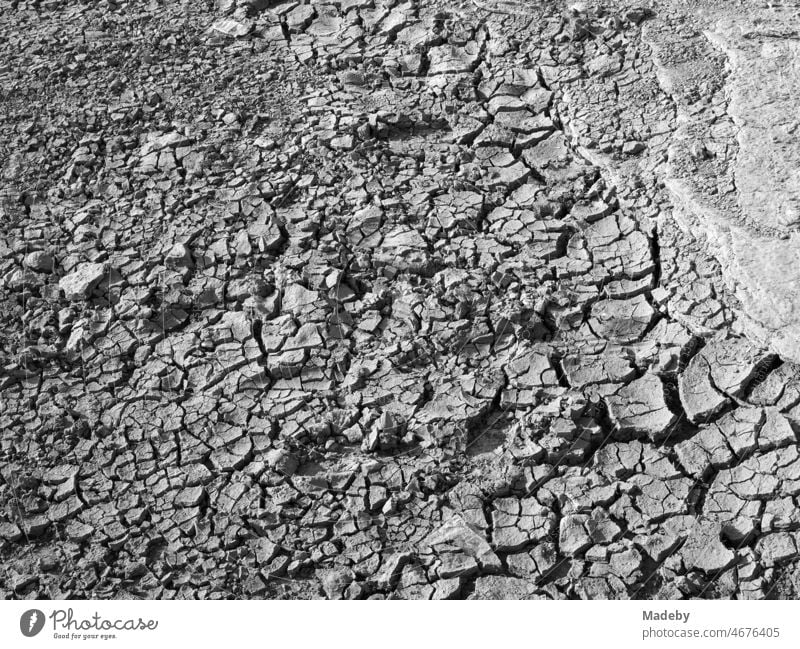 Rissiger Erdboden im Sommer bei Sonnenschein und großer Trockenheit an den Rosa Felsen in Kefken an der Küste des Schwarzen Meer in der Türkei, fotografiert in klassischem Schwarzweiß