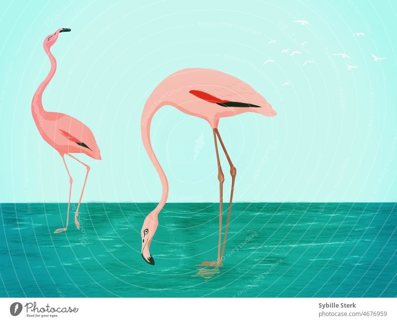 Flamingo Vogel Flamingos Vögel Paar Wasser MEER Fluss Himmel Wellen rosa Roséwein