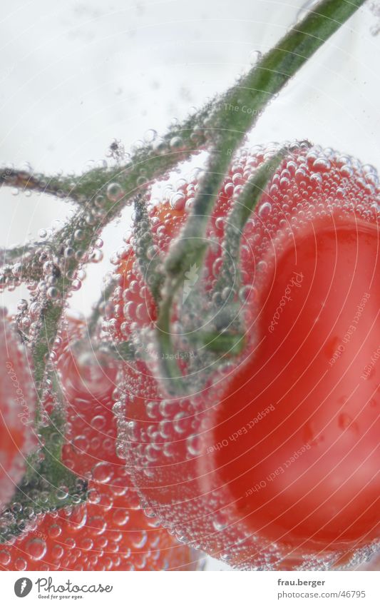 unterwassertomate auf traumreise rot Stil grün Wasser Tomate Hinterteil Blase blasen Mineralwasser