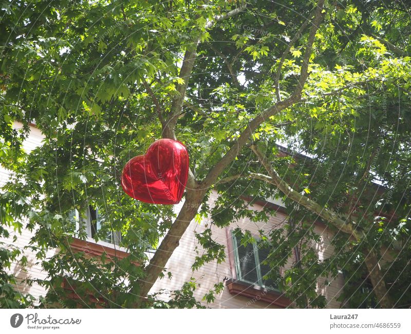 roter herzförmiger Luftballon in der grünen Baumkrone Herz Liebe verliebt romantisch Valentinstag Grün Symbol