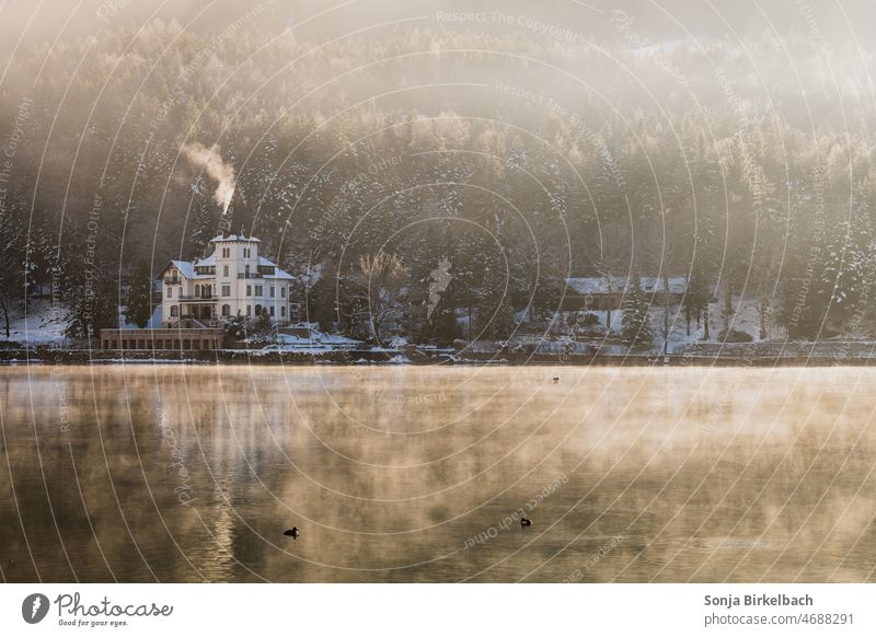 Villa Castiglione am Grundlsee, Österreich an einem Wintermorgen Schloss steiermark Salzkammergut Ausseerland morgens Morgen Morgennebel Licht Gegenlicht