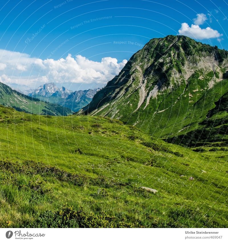 Grünfutter Ferien & Urlaub & Reisen Tourismus Sommer Berge u. Gebirge wandern Umwelt Natur Landschaft Pflanze Himmel Wolken Schönes Wetter Gras Wiese Felsen
