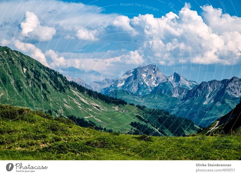 Bergsommer 2 Ferien & Urlaub & Reisen Tourismus Berge u. Gebirge wandern Umwelt Natur Landschaft Himmel Wolken Sommer Schönes Wetter Baum Gras Wiese Felsen