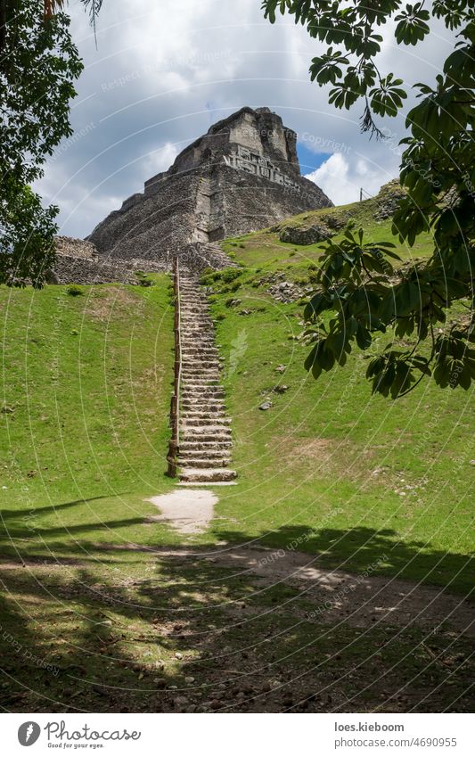 Steile Treppe zur Maya-Ruine 'El Castillo' in der archäologischen Stätte Xunantunich bei San Ignacio, Belize xunantunich Tempel Schnitzereien Archäologie steil