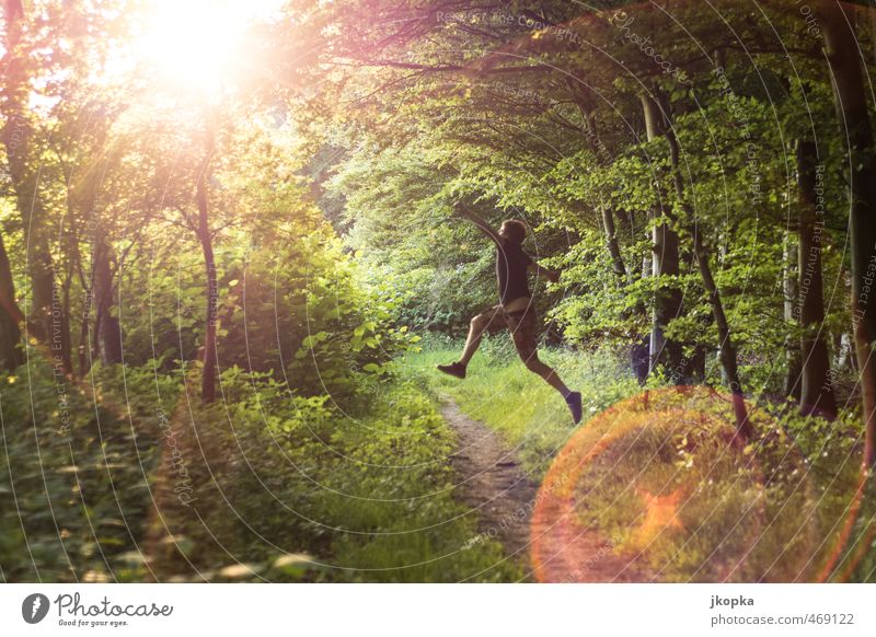 Forrest Jump Leben Joggen wandern Mensch maskulin Junger Mann Jugendliche 1 18-30 Jahre Erwachsene Natur Frühling Sommer Wald T-Shirt springen Fröhlichkeit