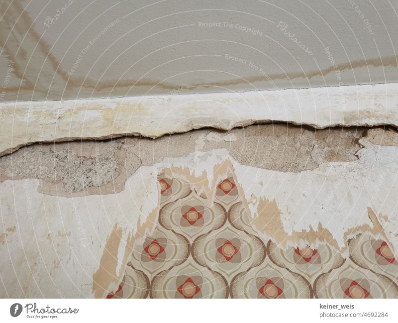 Wasserschaden an der Decke und Wand in einem Wohnraum mit Dachschaden oder nach Rohrbruch Wandputz Altbau Tapete Raumdecke Malerarbeiten Wohnraumdecke Putz