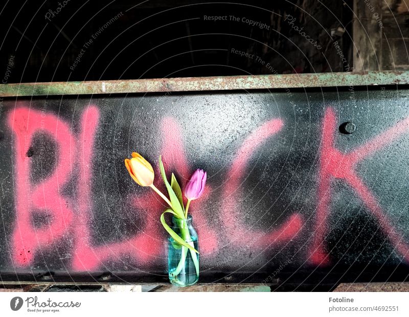 Black ist wohl das neue Bunt. In pinker Schrift auf schwarzem Grund steht das Wort "Black". Farbenfrohe Tulpen in einer kleinen gläsernen Vase zieren diesen Lost Place.
