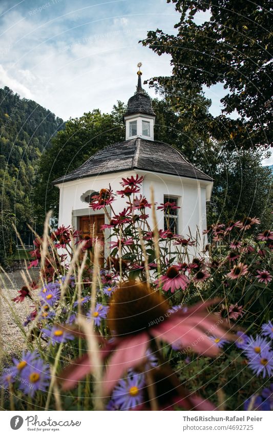 Blumen vor einem Kirchngebäude Garten draußen Gebäude Kirche Baum Park