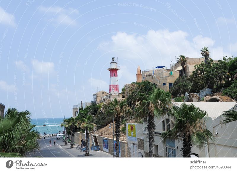 Blick auf den Leuchtturm Jaffa Tel-a Israel Altstadt Hafenstadt Promenade Mittelmeer Palmen Meer