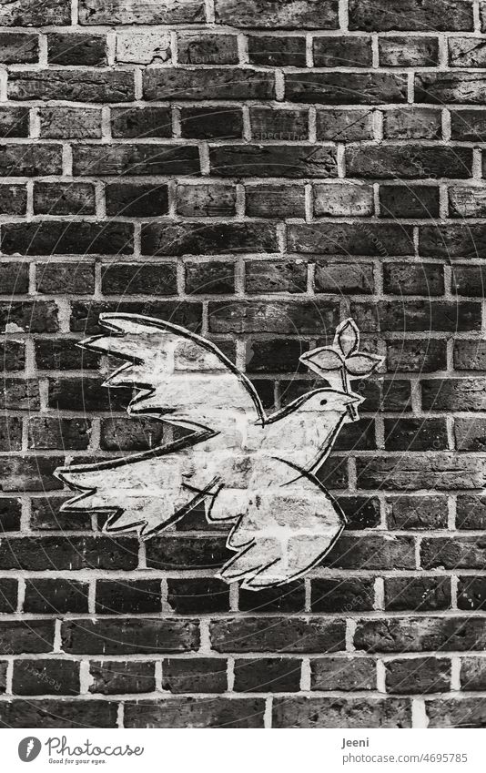 Friedenstaube für den Weltfrieden 🕊 Liebe Freiheit Hoffnung Taube fliegen Symbole & Metaphern Flügel Bild Wand weiß friedlich Verständigung Krieg Versöhnung