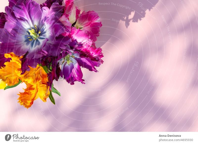 Strauß Papagei Stil Tulpen Blume Papageien-Tulpe Blumenstrauß Vase starke Schatten Blumenkollektionen Frühlingsblüte frisch präsentieren Geschenk Anlass