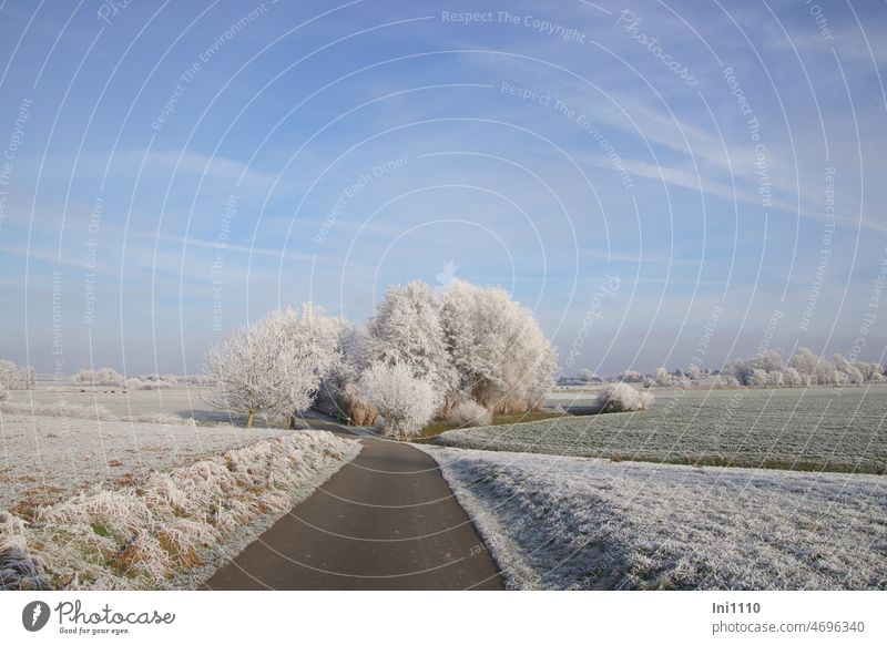 Wintertraum Raureif auf Bäumen Wiesen und Feldern Natur Landschaft Raureif an Morgen Straße schönes Wetter blauer Himmel Traumwetter Stimmung