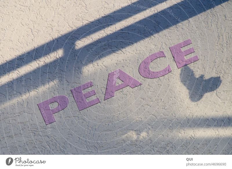 "Friedenstaube" als Schattenspiel im Licht mit rosa Schriftzug Peace Friedenssymbol Grau Verputz Lichteinfall Rosa Friedensschrift Relief Schatten auf Hauswand