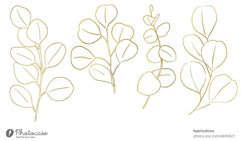 Goldene Aquarell Eukalyptus botanische Blätter Illustration Dekoration & Verzierung Element exotisch Laubwerk handgezeichnet vereinzelt Ornament Kulisse Sommer