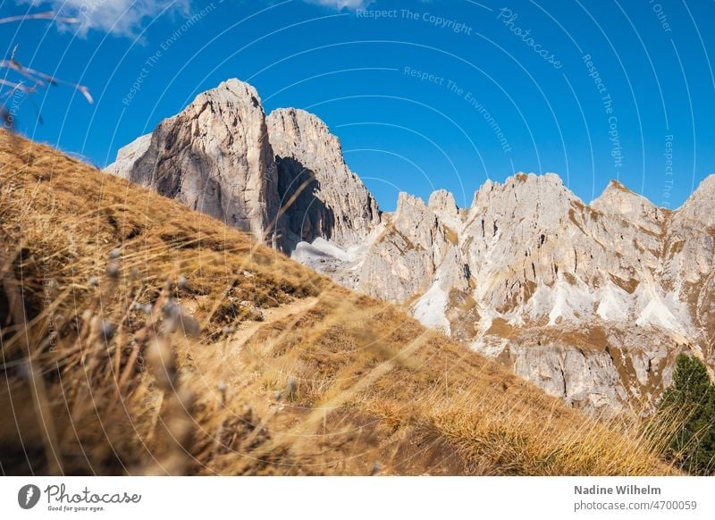 Blick auf den Cigolade-Pass Rosengarten Dolomiten Passo delle Cigolade Italien Berg Wandern Berge u. Gebirge Natur Alpen Landschaft wandern Europa Tourismus