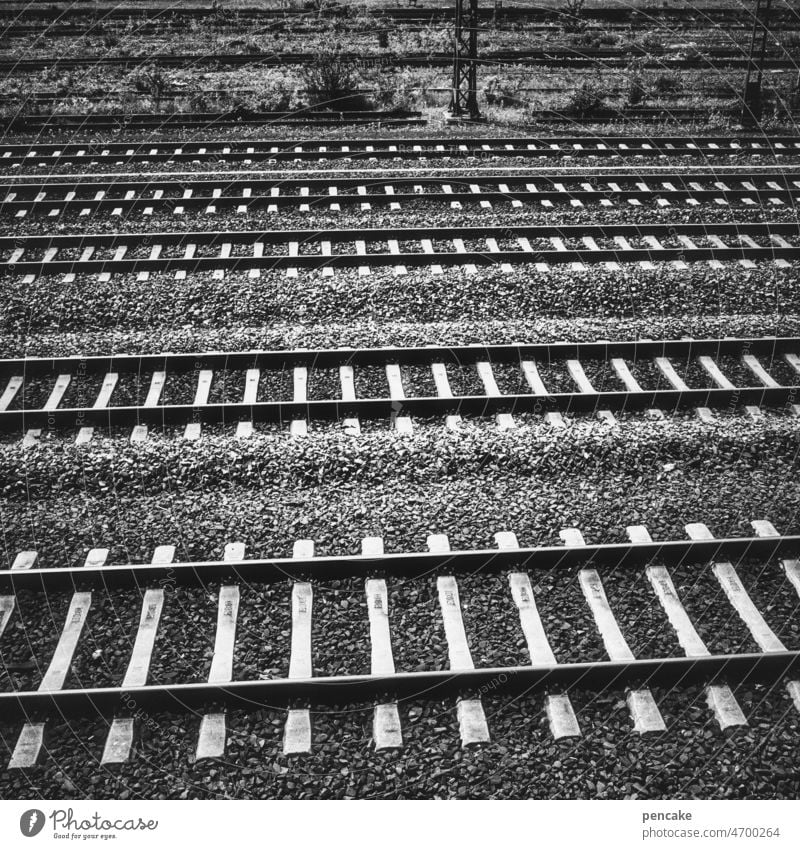 solang noch züge geh'n Gleise Bahnhof Bahngleise Verkehr fahren Reisen schwarz-weiß Struktur Eisenbahn Ankunft kommen Abschied Zug Ziel gehen Schienen