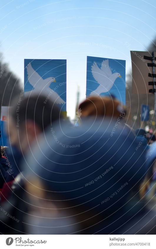 put.in jail! Ukraine Kriegsverbrechen Frieden stoppen Soldat Russland Hand Demonstration protestieren Politik & Staat demonstrieren Außenaufnahme