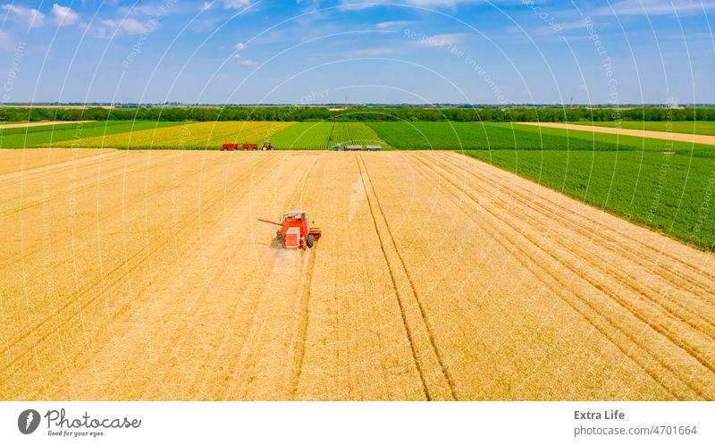 Blick von oben auf veralteten Mähdrescher, Erntemaschine, erntereifes Getreide landwirtschaftlich Ackerbau Müsli Land geschnitten trocknen Bauernhof Landwirt