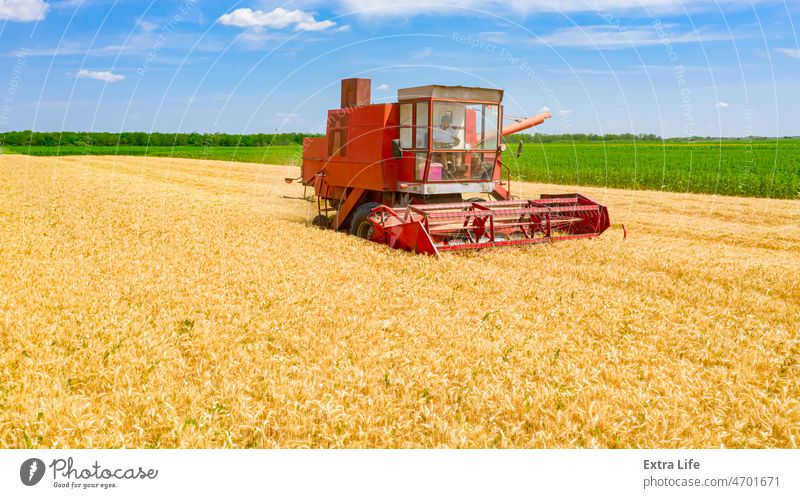 Blick von oben auf veralteten Mähdrescher, Erntemaschine, erntereifes Getreide landwirtschaftlich Ackerbau Müsli Land Landschaft geschnitten trocknen Bauernhof