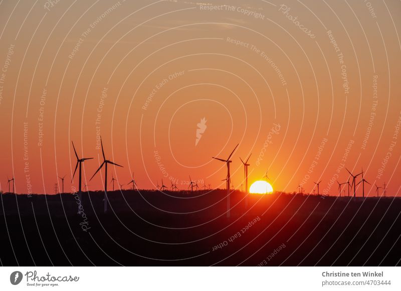 Die Silhouetten vieler Windkraftanlagen im Sonnenuntergang, die Sonne ist halb hinter den Horizont verschwunden Energiekrise Windenergie regenerativ
