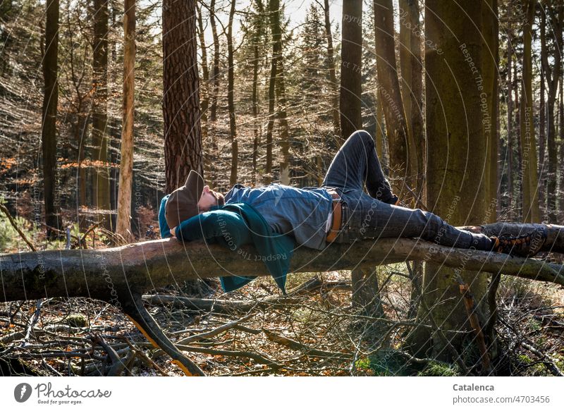 Junger Mann im Wald ruht sich auf einem Baumstamm aus wandern Natur Person Umweltschaden Pflanze Strurmschaden geborsten gespalten Wind Sturm Nadelwald Himmel