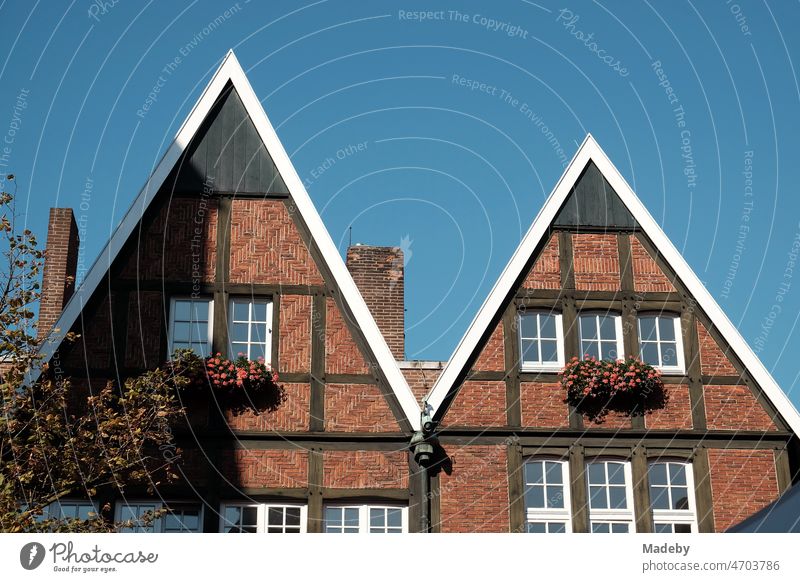 Alte Häuser mit Fachwerk, braunem Backstein und Spitzgiebel im Sommer vor blauem Himmel im Sonnenschein in der Altstadt von Münster in Westfalen im Münsterland
