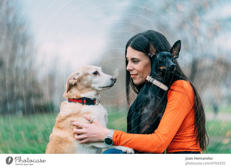 Brünette Frau mit ihren beiden Hunden, mit einer Geste der Zärtlichkeit. Konzept, Liebe für Hund und Haustier brünett zwei gestikulieren Freundschaft Welpe