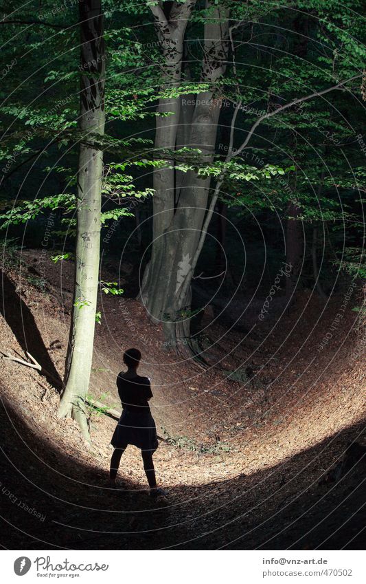 Schatten Mensch feminin Junge Frau Jugendliche Leben Körper 1 18-30 Jahre Erwachsene Umwelt Natur Landschaft Herbst Pflanze Baum Blatt Wald braun Stimmung