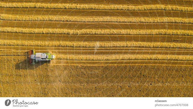 Weizenernte im Herbst Luftaufnahme von oben, Drohnenaufnahme Ernte Mais Feld Ackerbau Antenne Dröhnen Samen Hintergrund Müsli Mähdrescher corp Land Landschaft