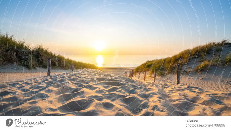 Holzweg an der Ostsee über Sanddünen mit Meerblick, Sonnenuntergang Sommerabend Weg Strand Düne Gras Pier MEER Hintergrund blau Landschaft Zandvoort schön