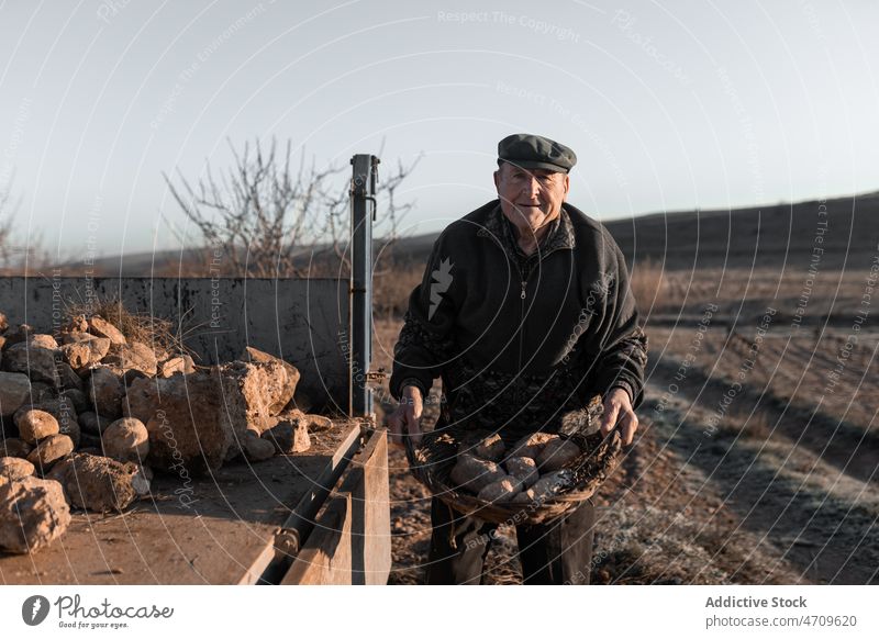 Alter Mann sammelt Steine in einem Traktorwagen auf dem Lande Karre schwer Felsen abholen Arbeit ländlich Bauernhof Dorf männlich Landschaft Ackerbau Senior Job
