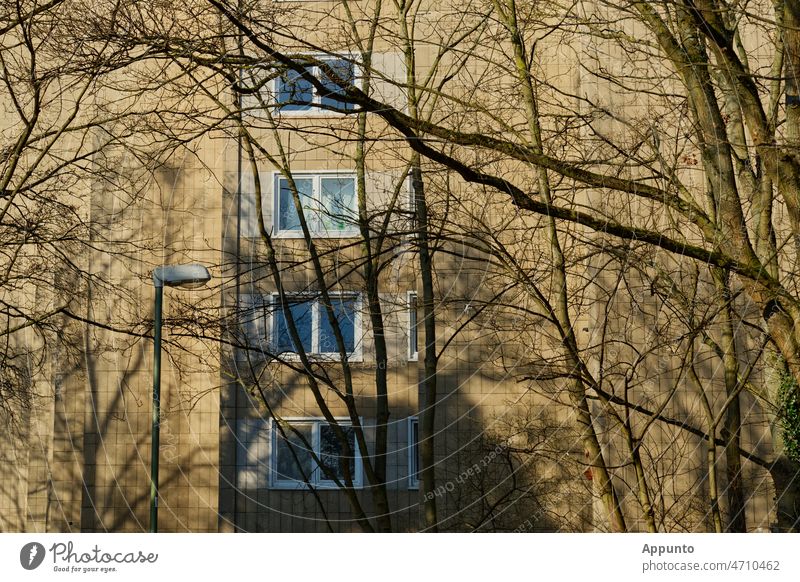 Helle Fassade mit vier Doppelfenstern, schattenwerfende Äste im Vordergrund Gebäude Fenster Bauwerk Hochhaus Bäume Stadt städtisch Umgebung Wohnen Wohnraum
