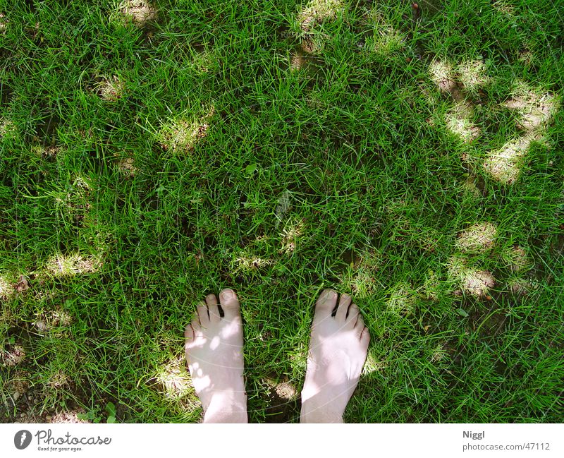 Barfuß Wiese grün Zehen Sommer Rasen Körperteile Fuß Schatten Mensch niggl